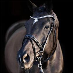 Bridons équitation HV Polo Legacy deluxe
