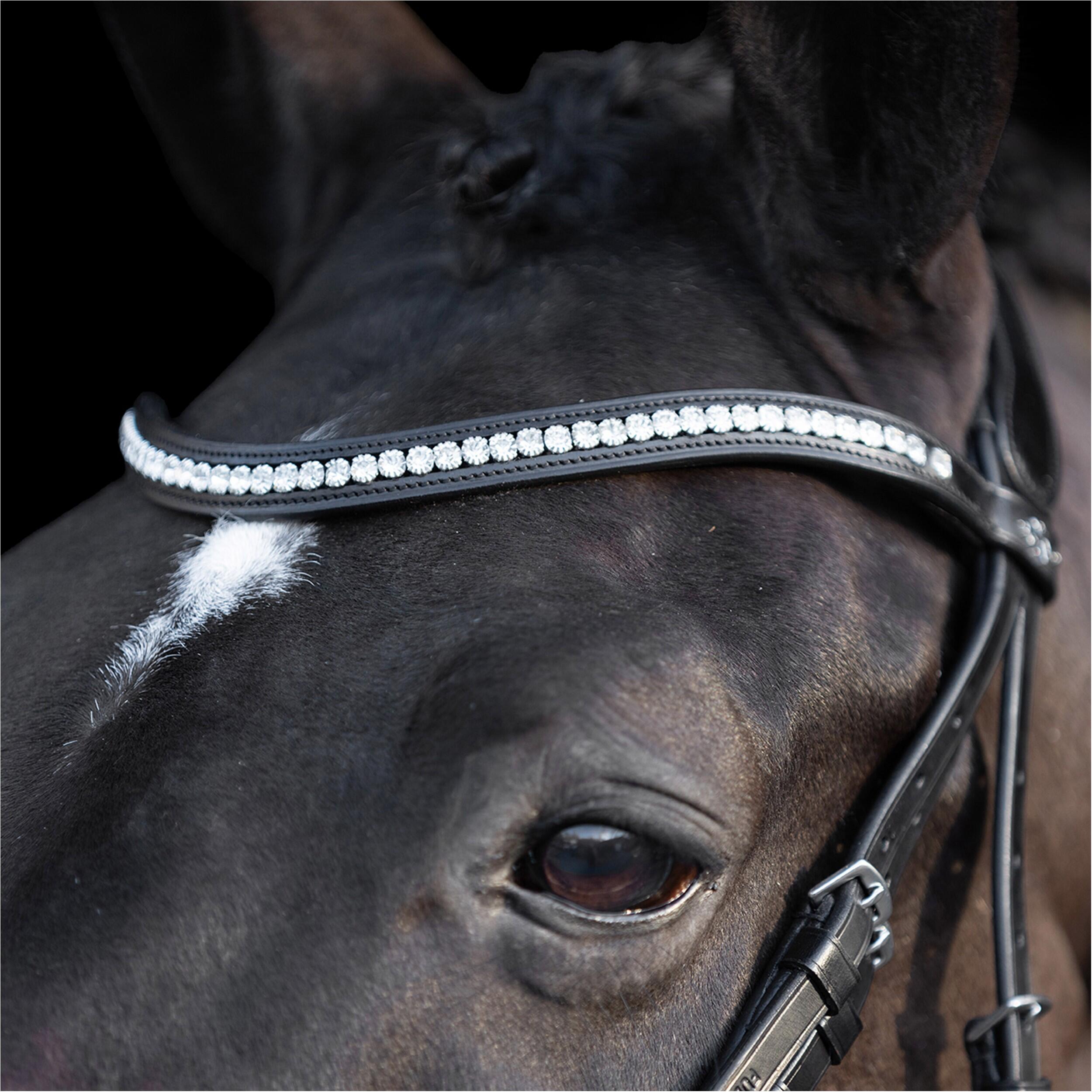 Bridles HV Polo Legacy deluxe 4/5