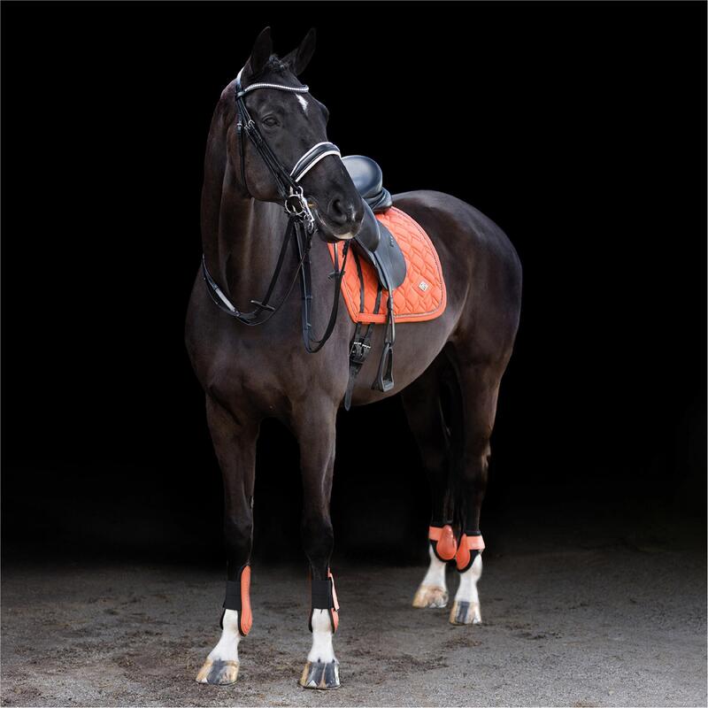 Protège-boulets et tendons pour cheval HV Polo Classic