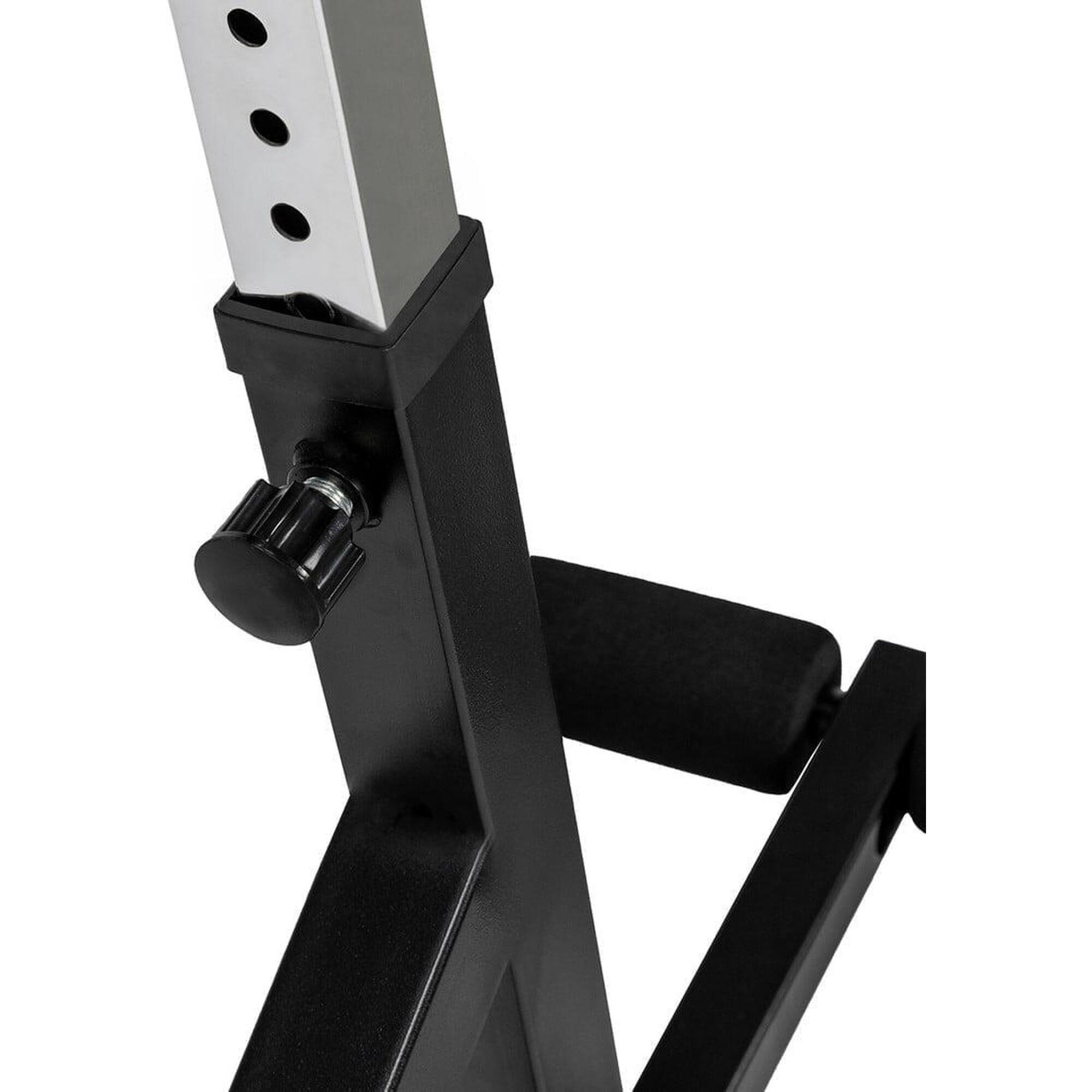 APARAT MULTIFUNCTIONAL VIRTUFIT HYPEREXTENSION PRO