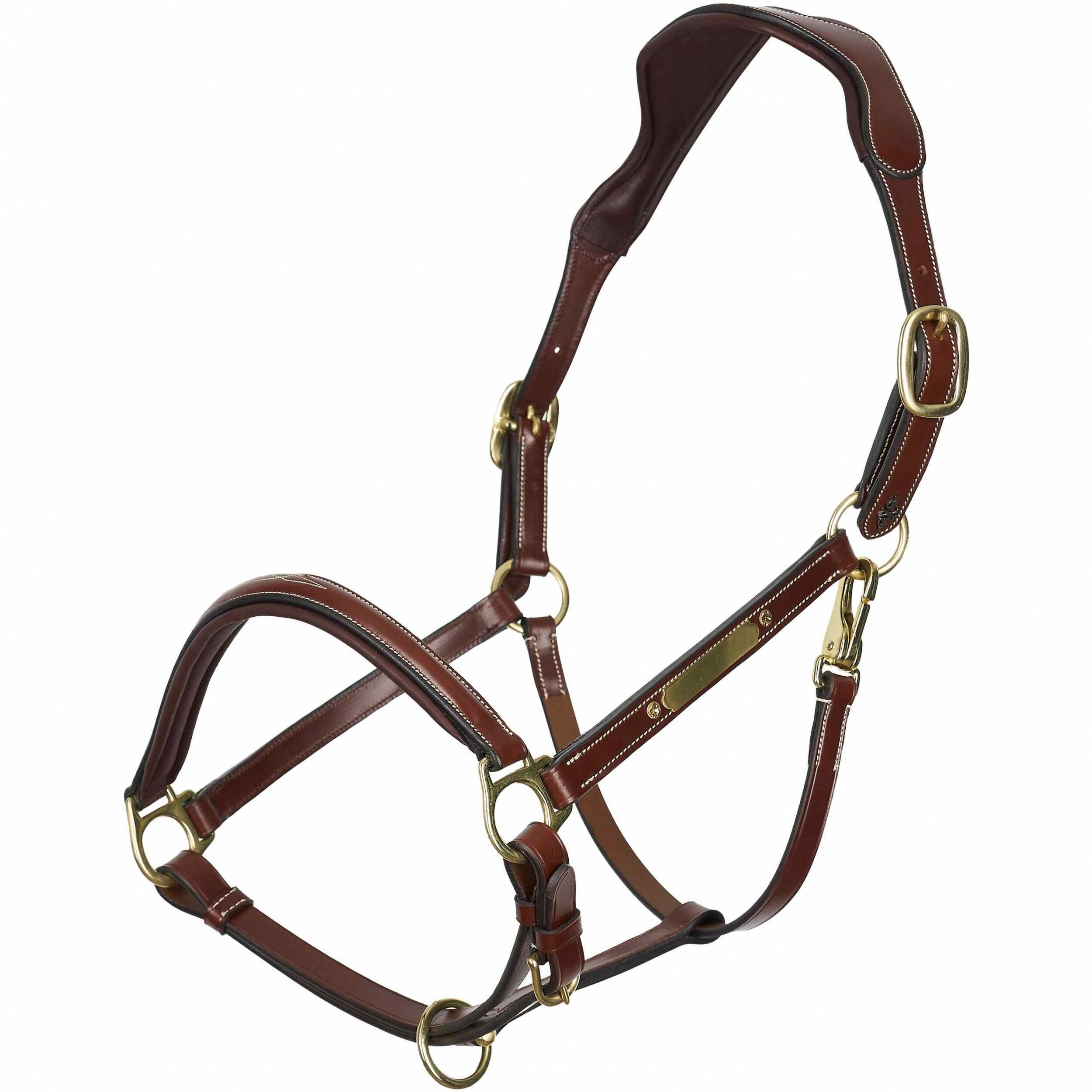 Cabezada Cuadra para caballos HV Polo Legacy 5/5