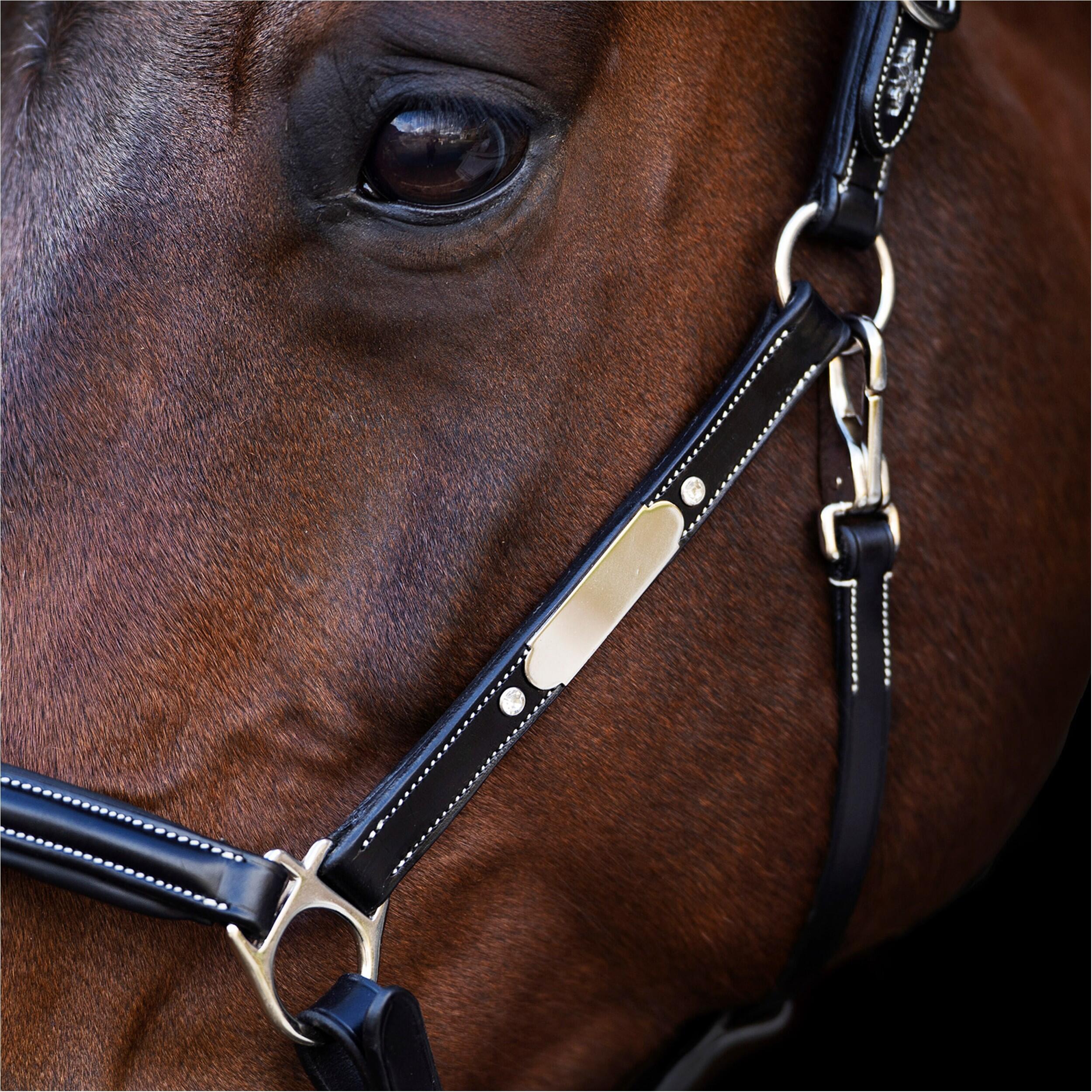 HV Polo Legacy halter