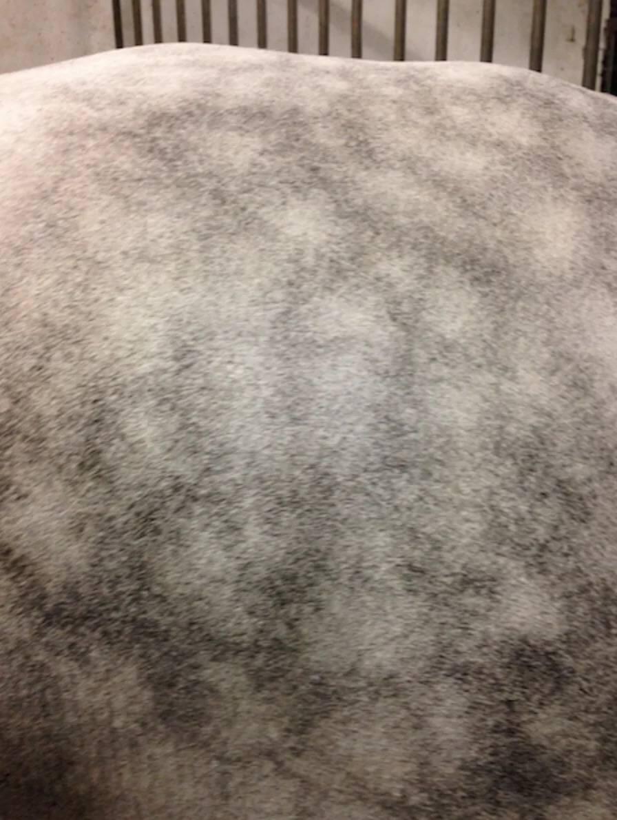 Easy Shine Mouss - Laboratoire Ravene 3/3