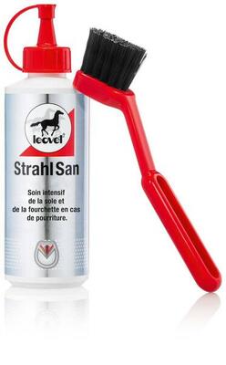 STRAHLSAN mit Pinsel 200ml
