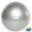 Gym Ball - Swiss Ball - avec Pompe - Gris - 45 cm