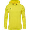 Enfiler Kapuzenpullover Hmlauthentic Multisport Homme HUMMEL