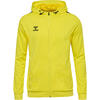 Rits Hoodie Hmlauthentic Multisport Heren HUMMEL