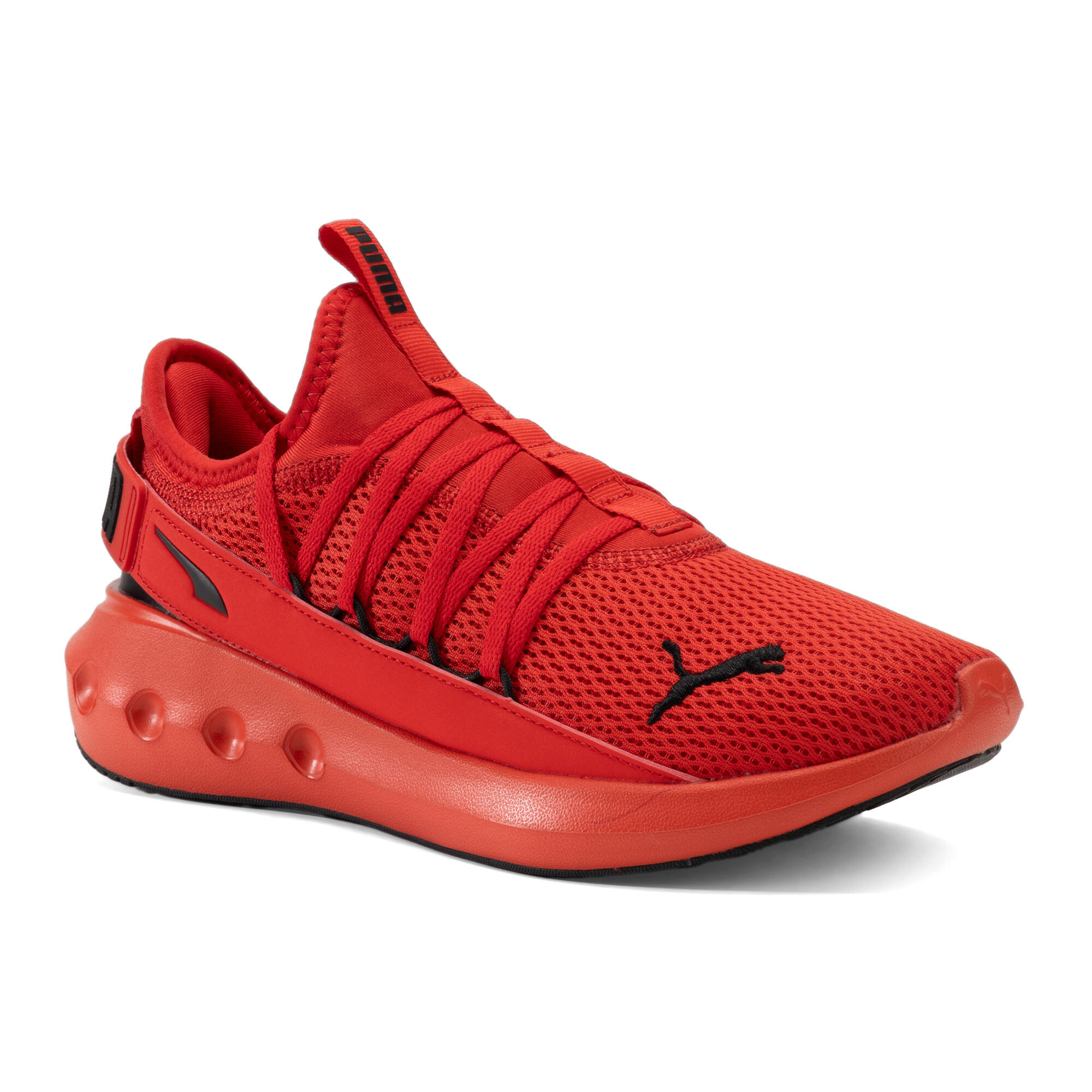 PUMA picture