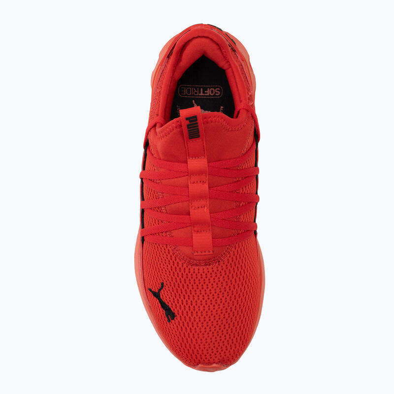 Chaussures de course PUMA Softride Carson Fresh