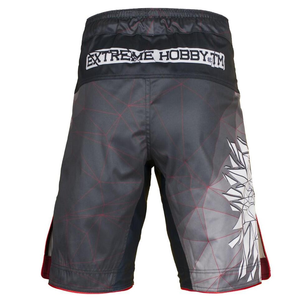 Spodenki do Grapplingu MMA BJJ K1 męskie EXTREME HOBBY POLSKA grey