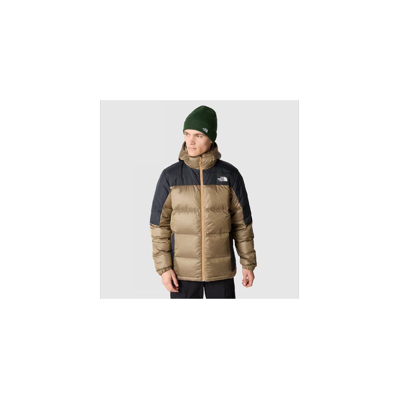 THE NORTH FACE picture