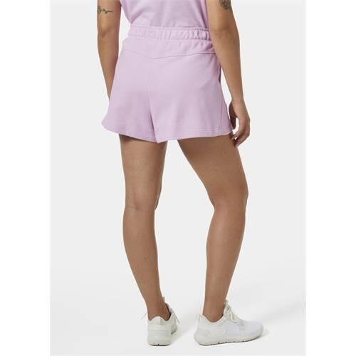 Damen universal Hosen Helly Hansen Core 4/5