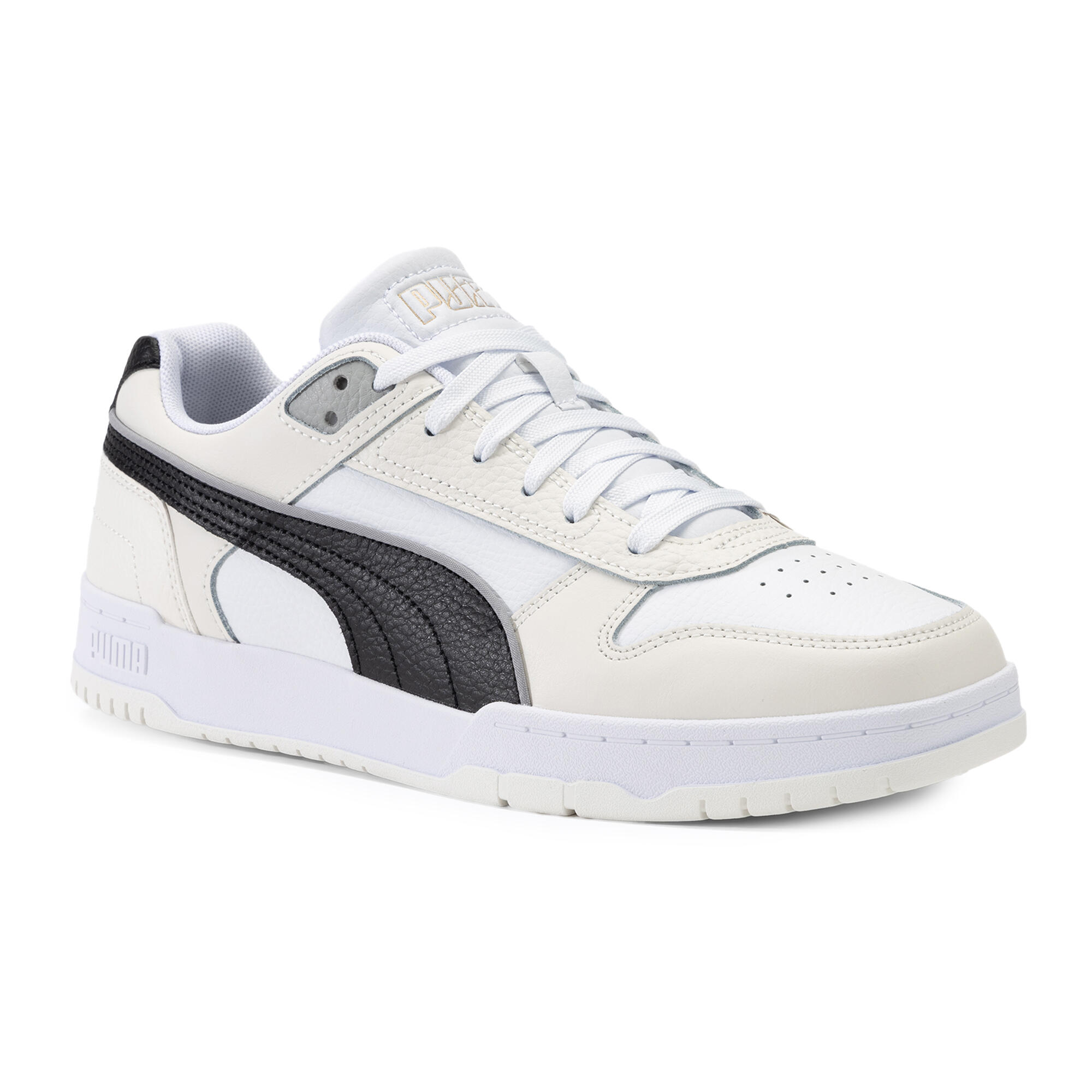 PUMA picture