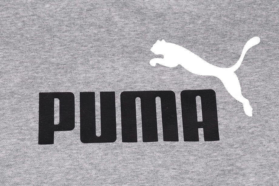 Bluza sportowa dla dzieci Puma ESS 2 Col Big Logo Crew FL