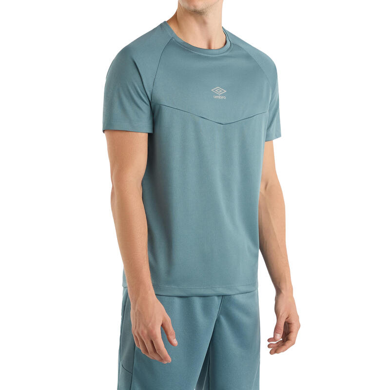 Tshirt SPORTSWEAR Homme (Bleu)