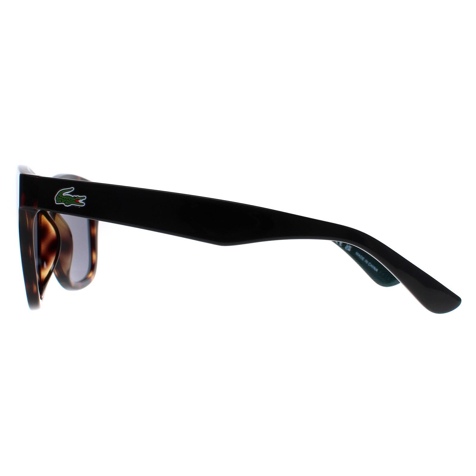 Lacoste Square Unisex Havana  Grey L789S 3/4