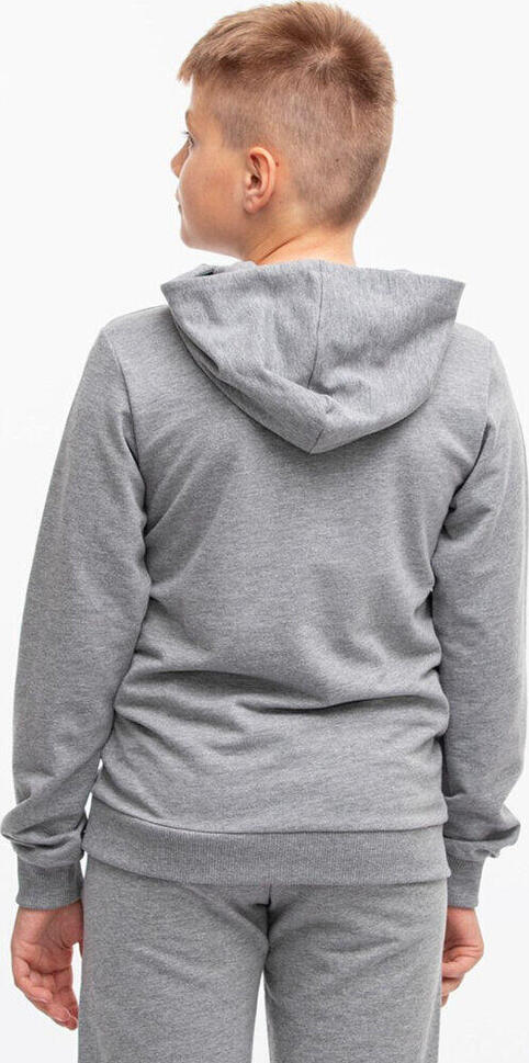 Bluza sportowa dla dzieci Puma Team Goal Casuals Hoddy