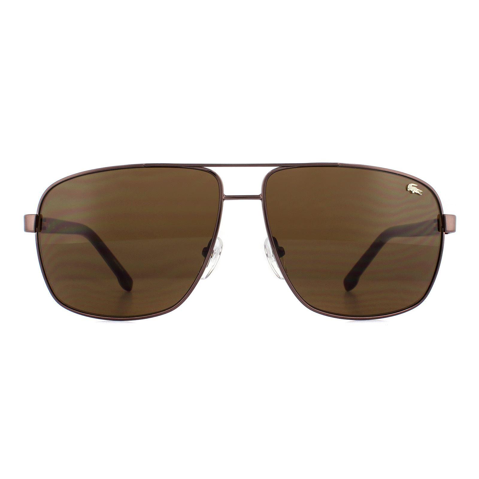Lacoste Aviator Mens Brown Brown Gradient Sunglasses 1/4