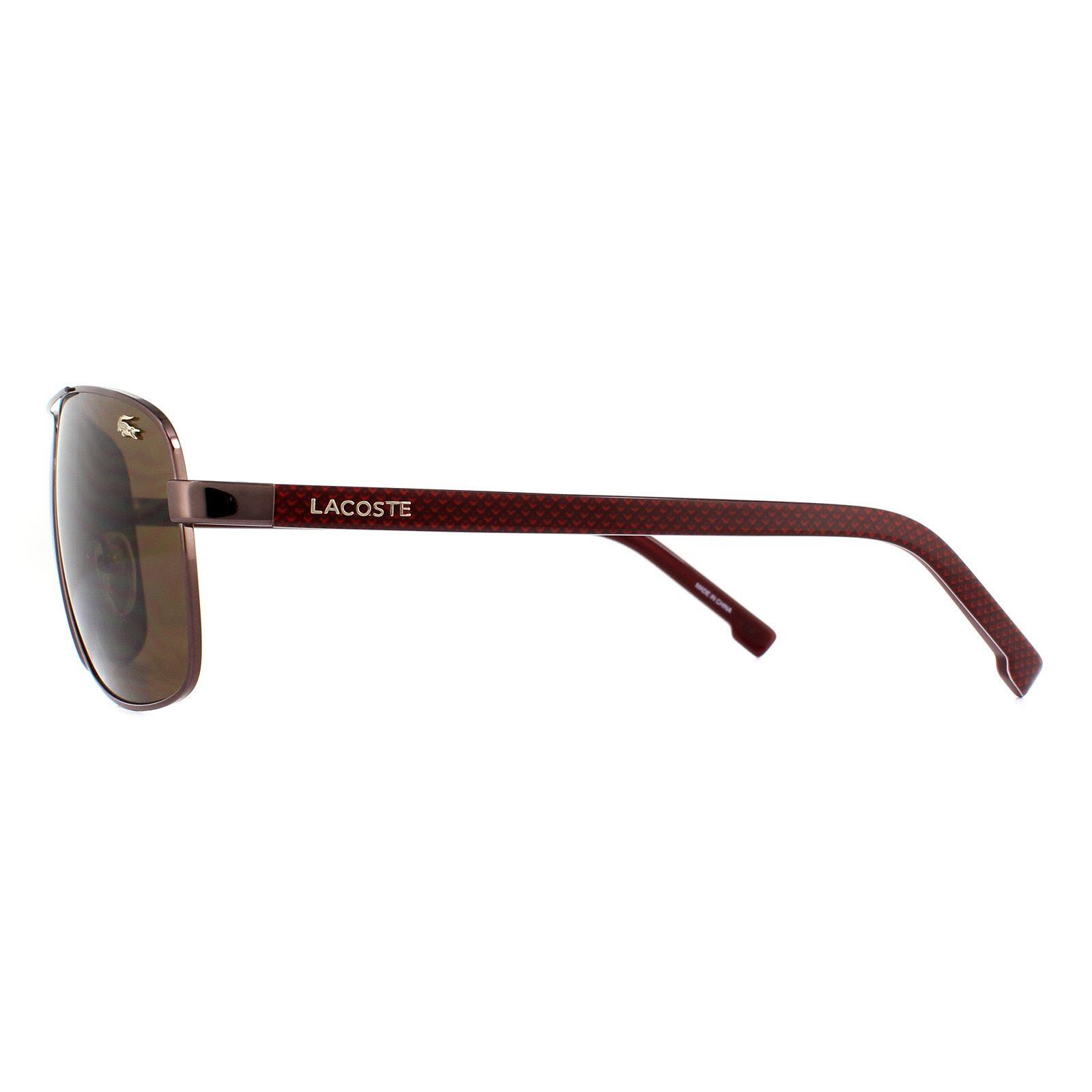 Lacoste Aviator Mens Brown Brown Gradient Sunglasses 3/4