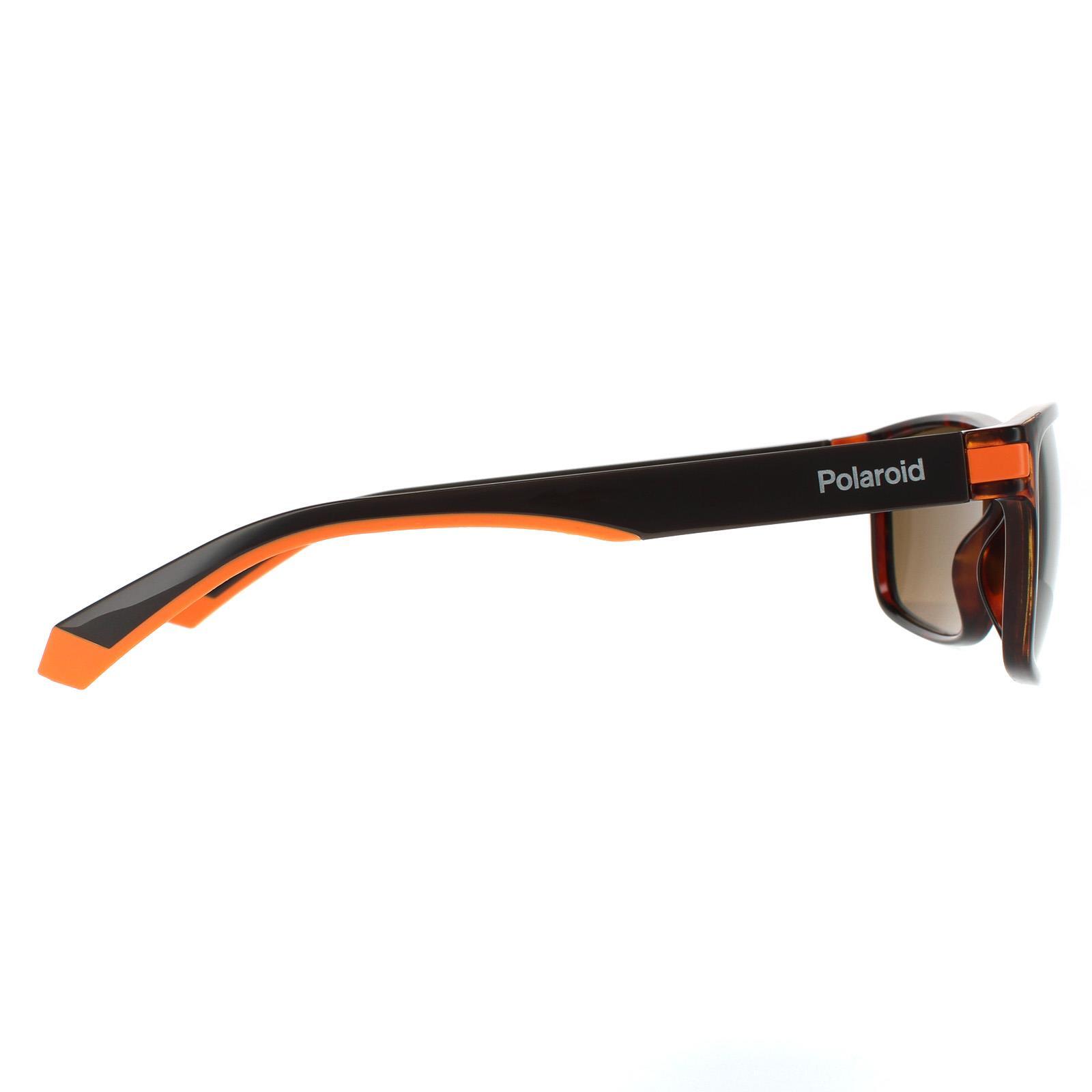 Polaroid Rectangle Mens Havana Orange Bronze Polarized Sunglasses 4/4