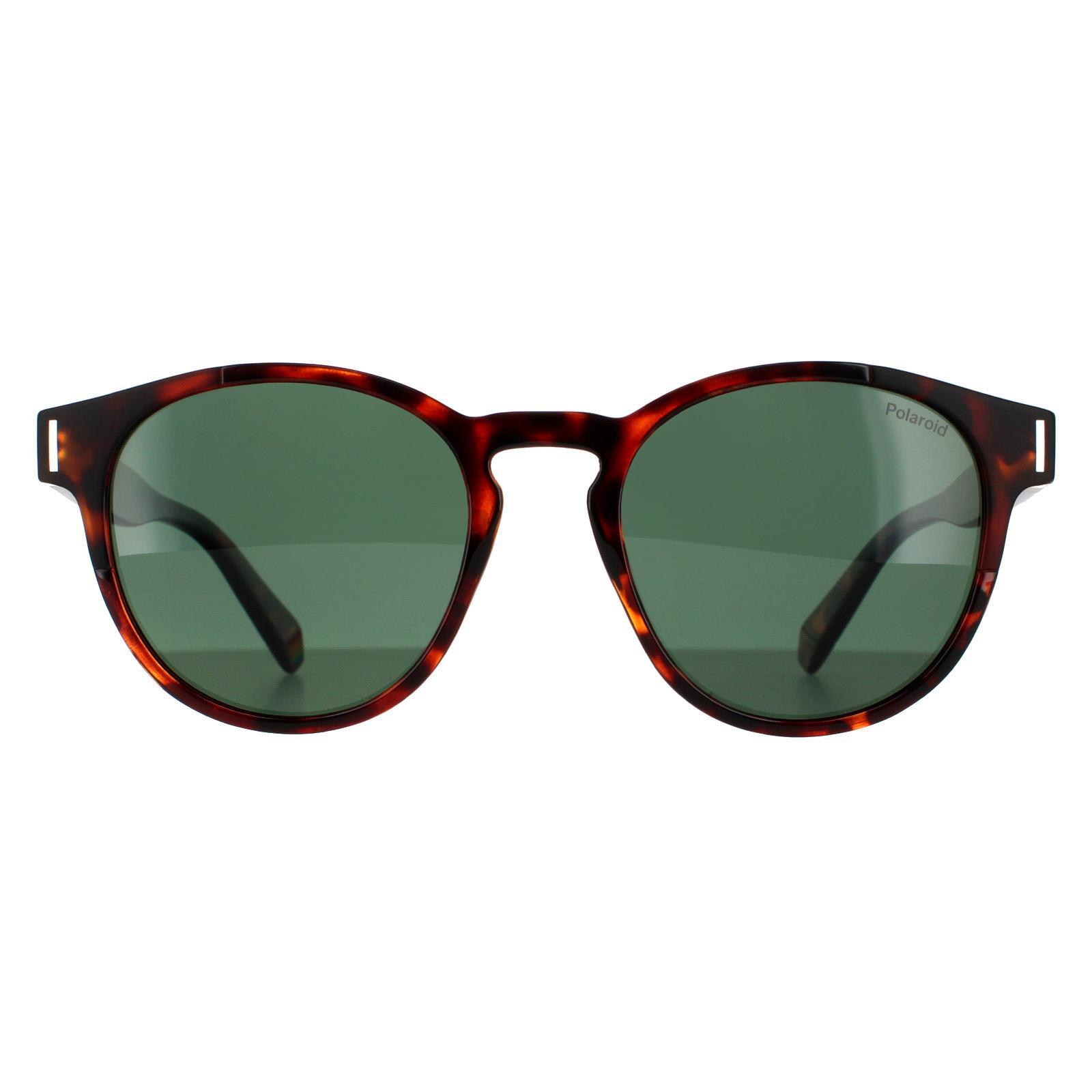 POLAROID Polaroid Round Unisex Dark Havana Green Polarized Sunglasses