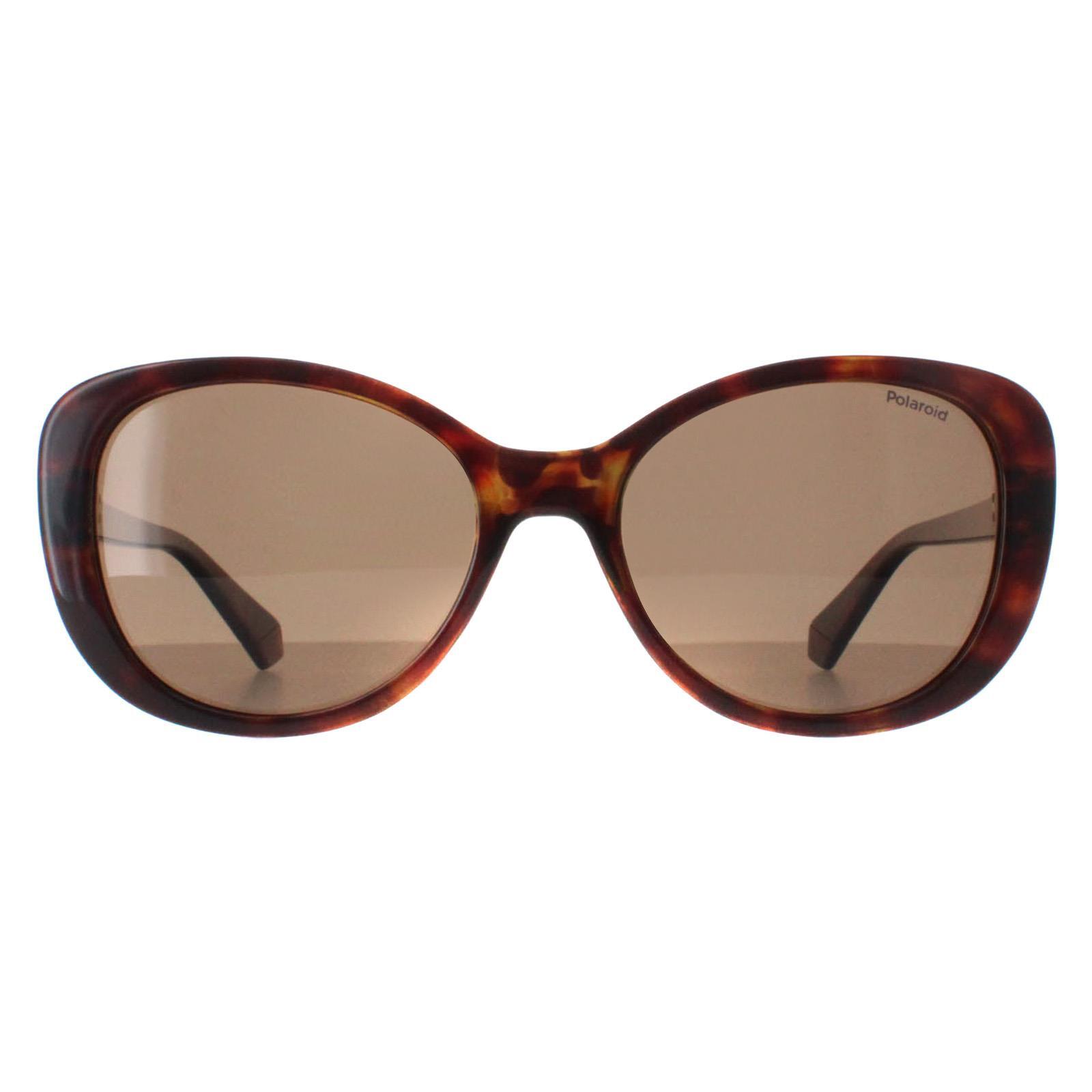 POLAROID Polaroid Butterfly Womens Havana Bronze Polarized PLD 4154/S/X