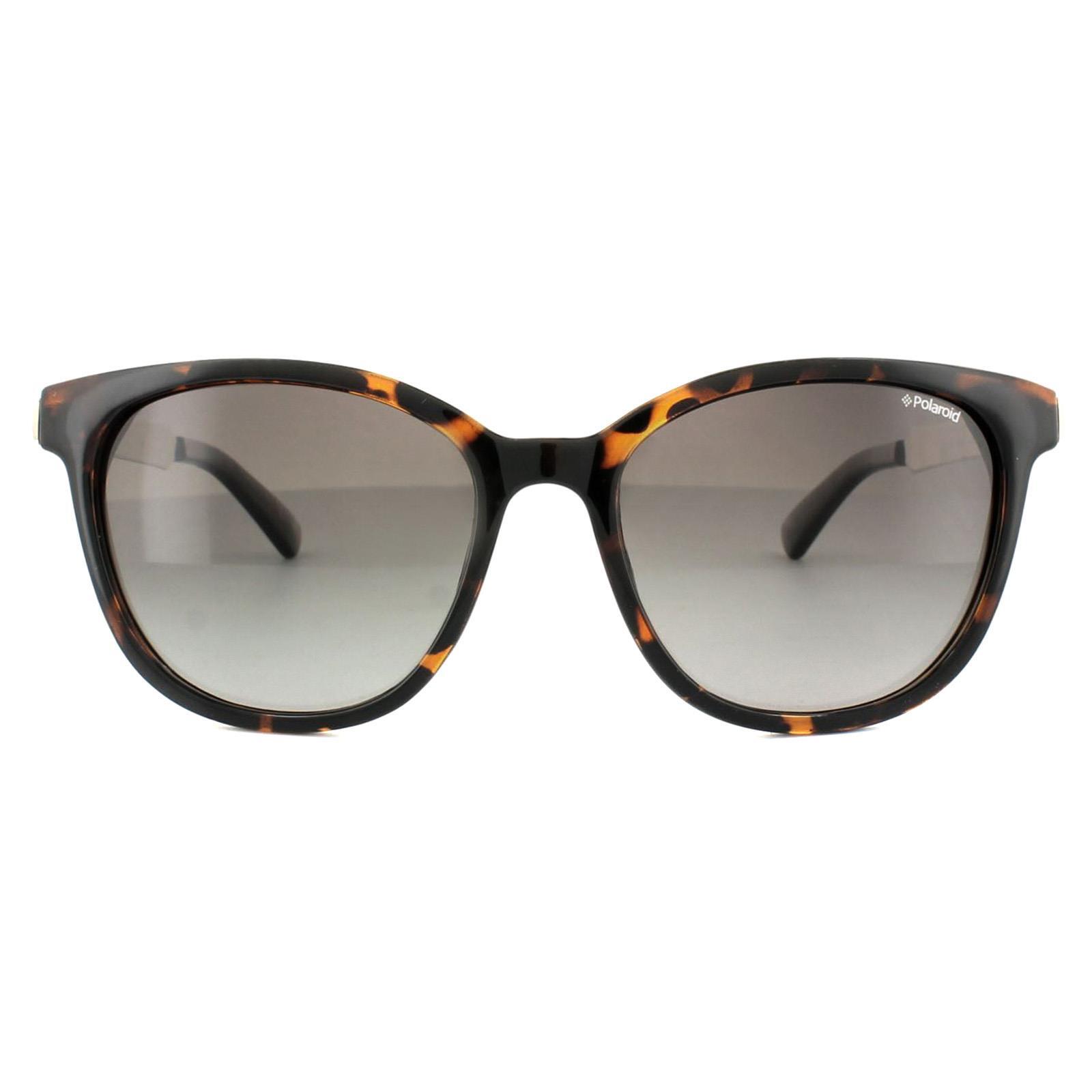 Polaroid Cat Eye Womens Havana Gold Brown Polarized Sunglasses 1/4