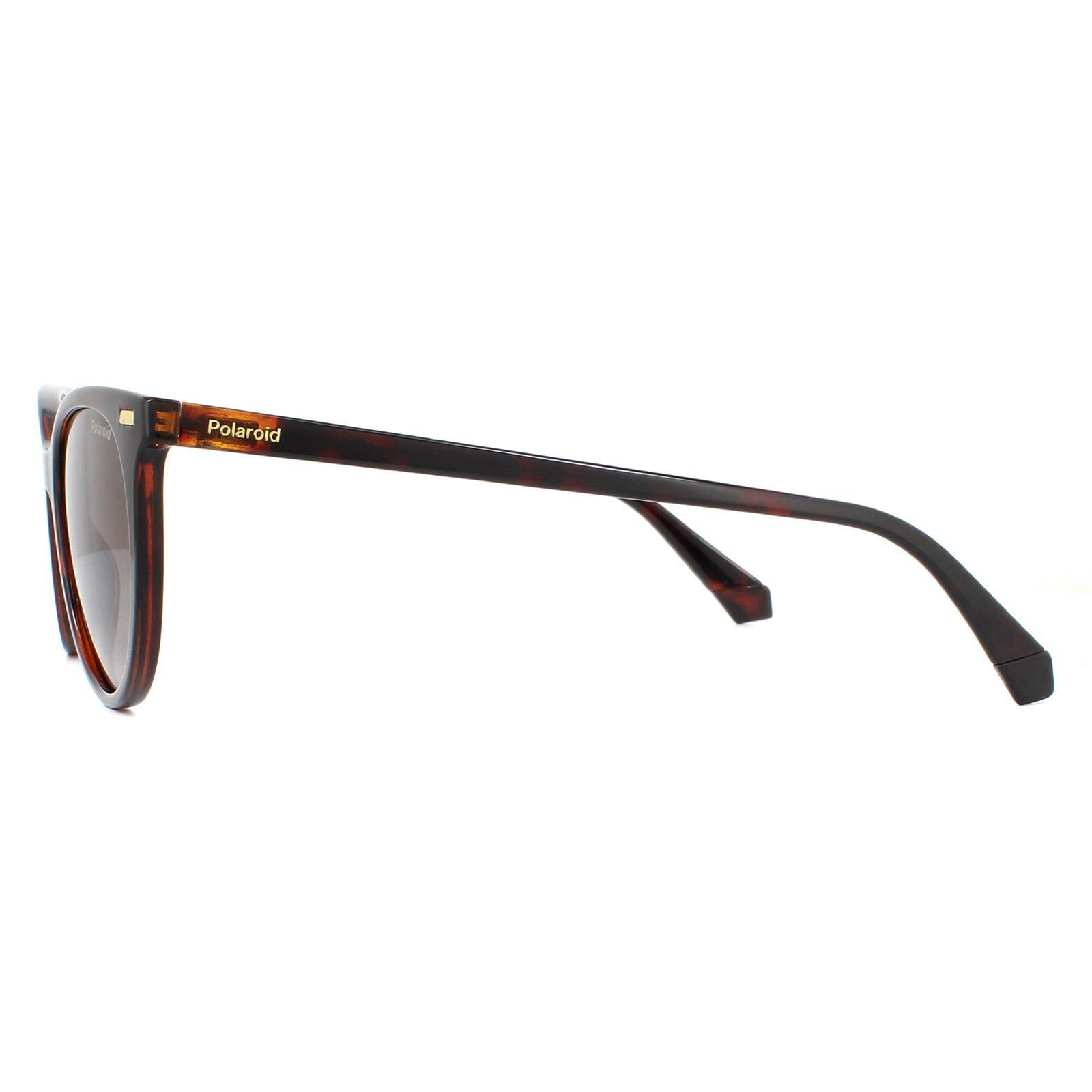 Polaroid Cat Eye Womens Havana Brown Gradient Polarized Sunglasses 3/4