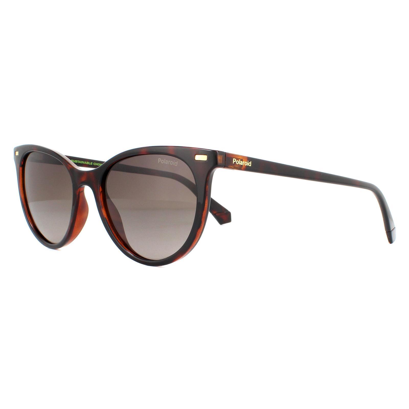Polaroid Cat Eye Womens Havana Brown Gradient Polarized Sunglasses 2/4