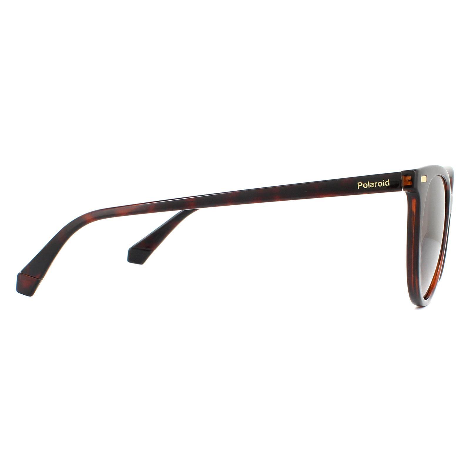 Polaroid Cat Eye Womens Havana Brown Gradient Polarized Sunglasses 4/4