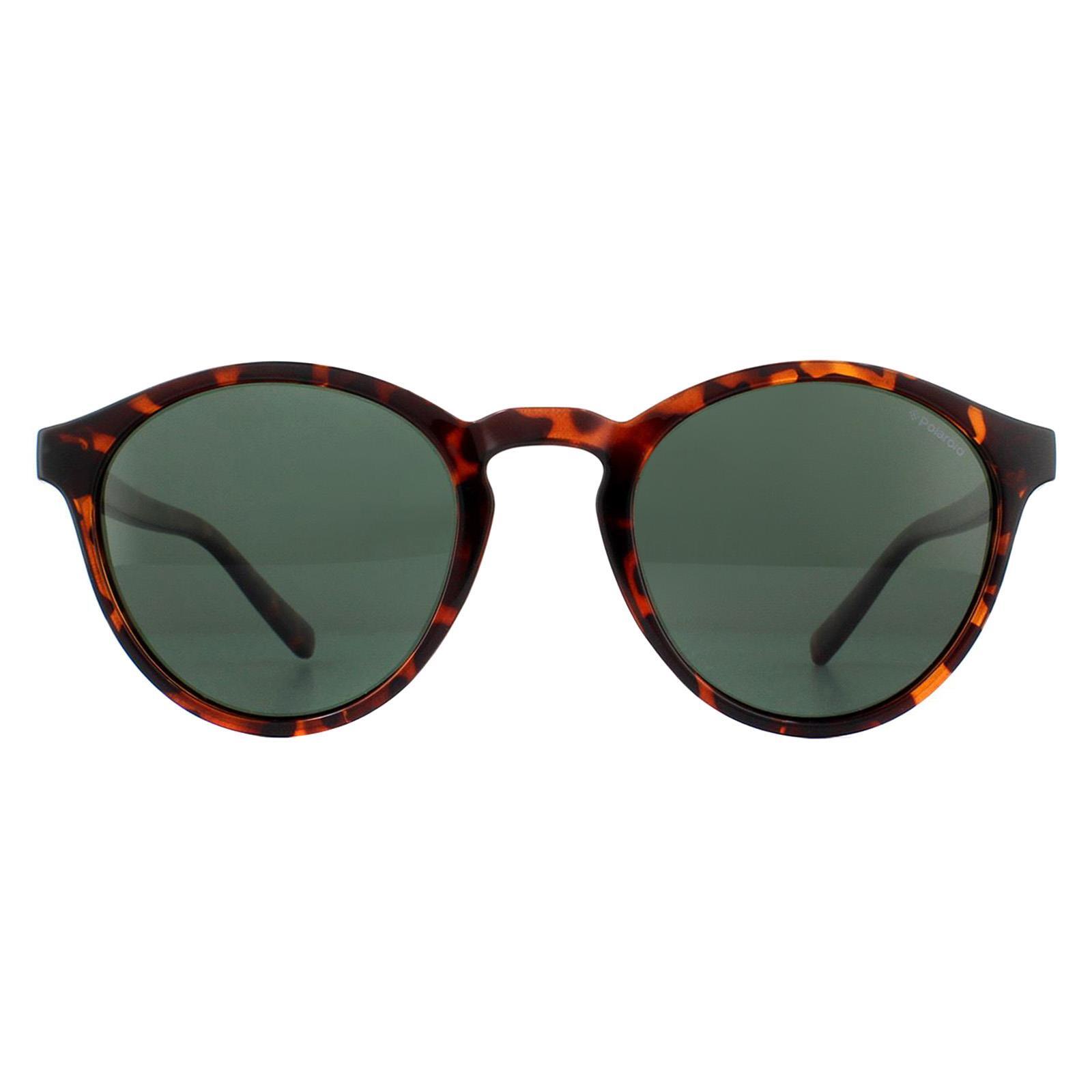 POLAROID Polaroid Round Unisex Havana Green Polarized Sunglasses