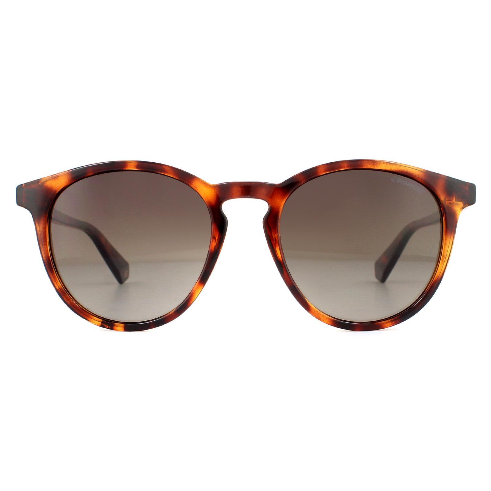 POLAROID Polaroid Round Unisex Havana Brown Gradient Polarized Sunglasses