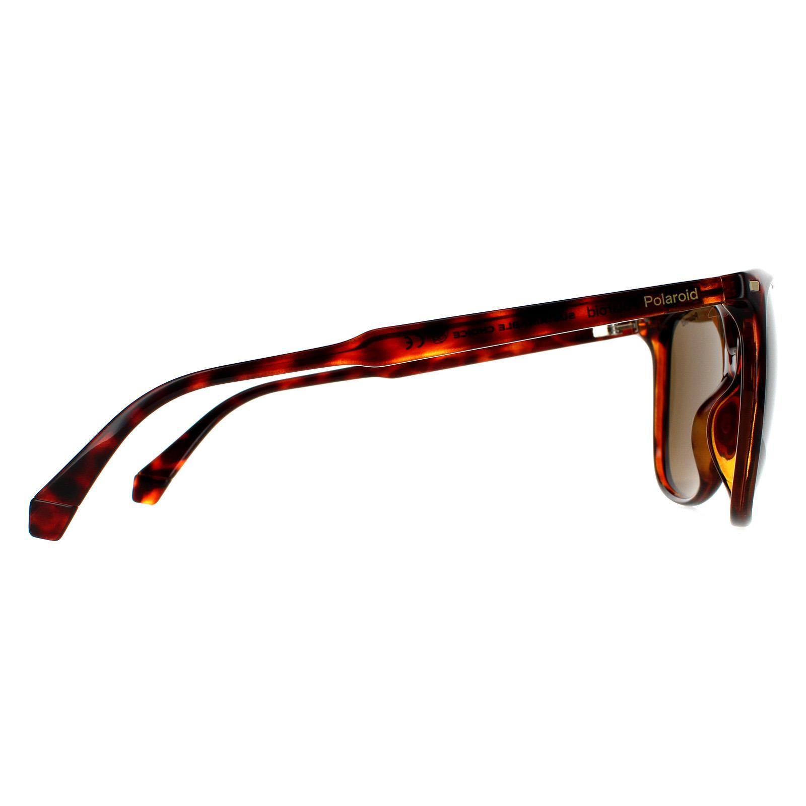 Polaroid Cat Eye Womens Dark Havana Bronze Polarized Sunglasses 4/4