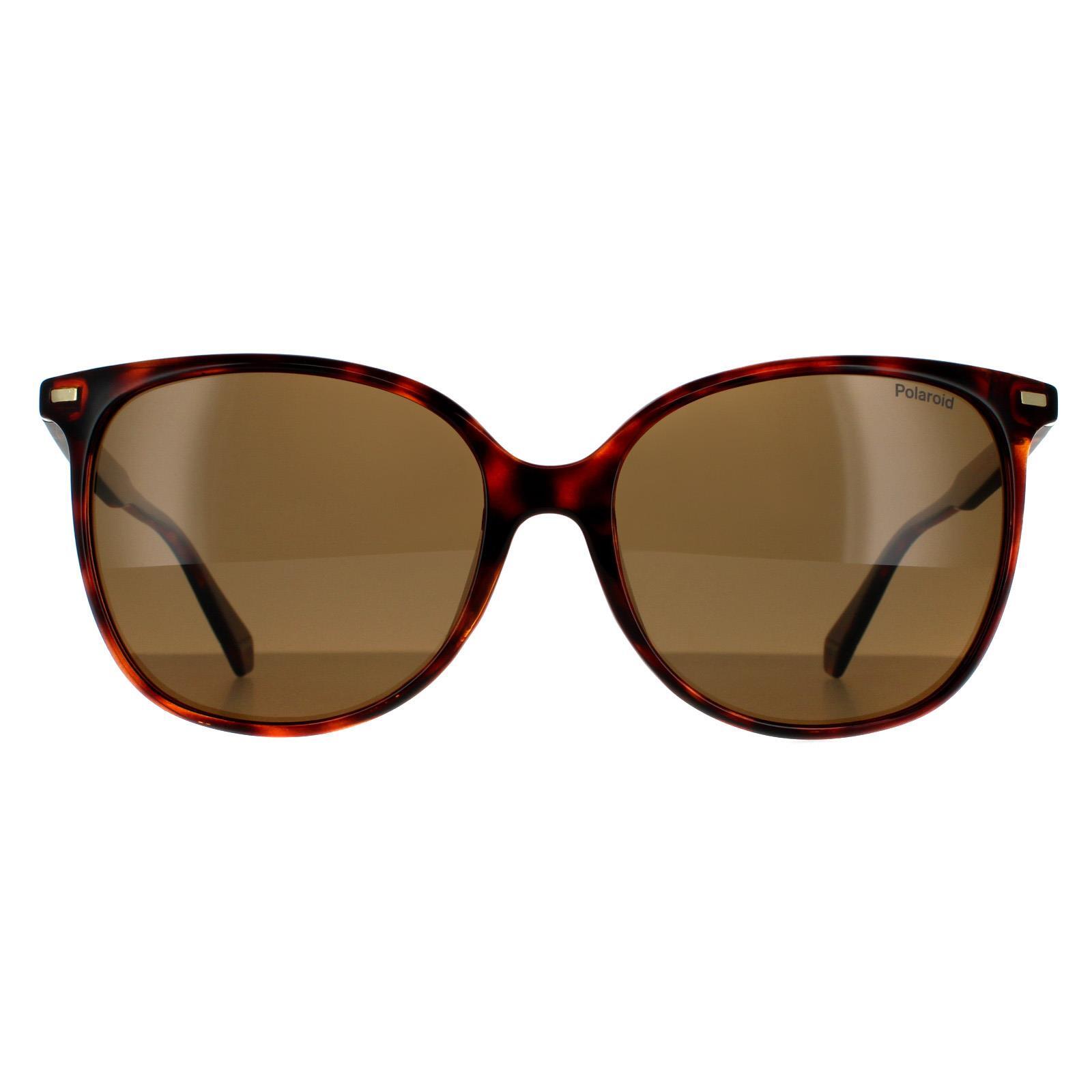 Polaroid sunglasses cat eye 2025