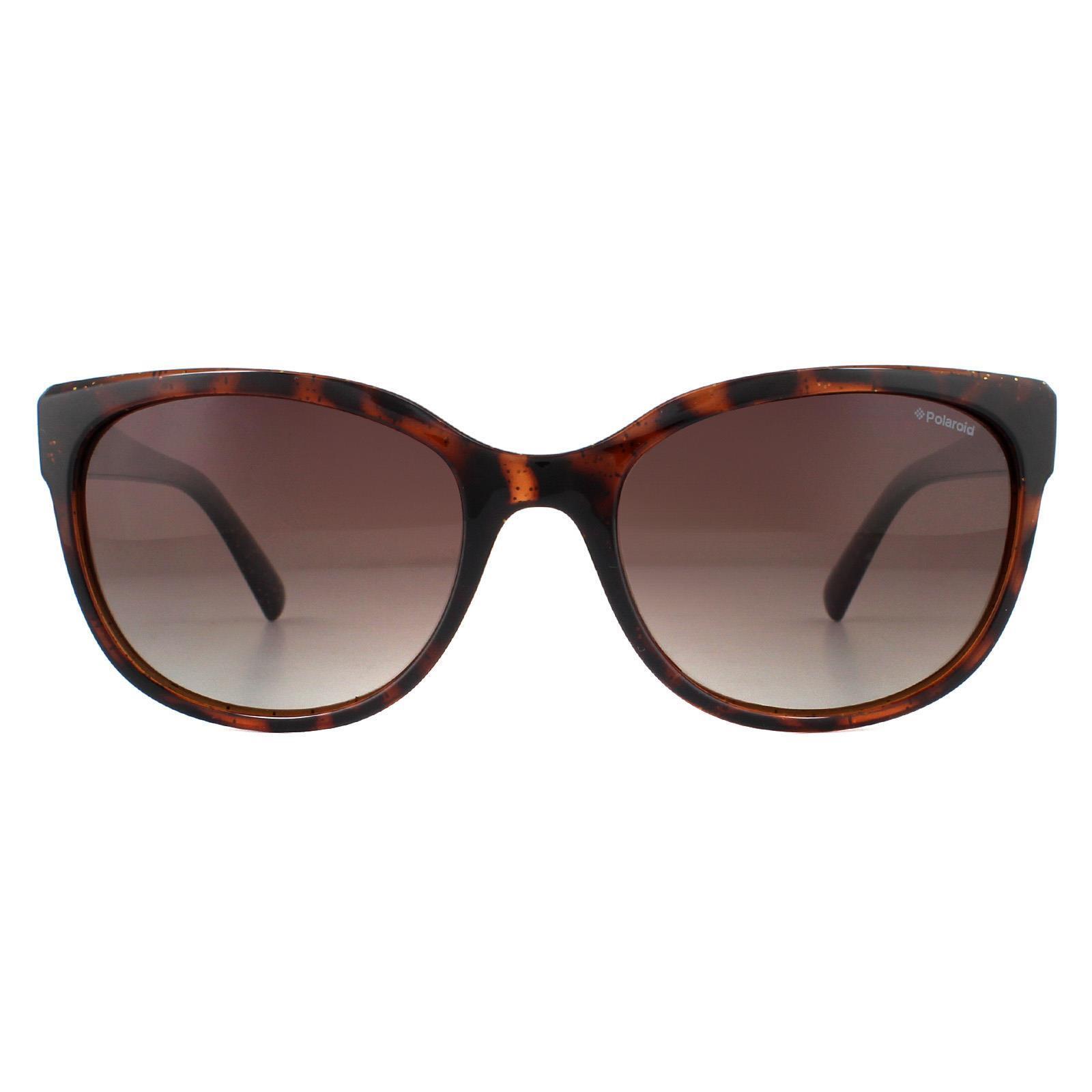 POLAROID Polaroid Cat Eye Womens Dark Havana Glitter Brown Gradient Polarized Sunglasses
