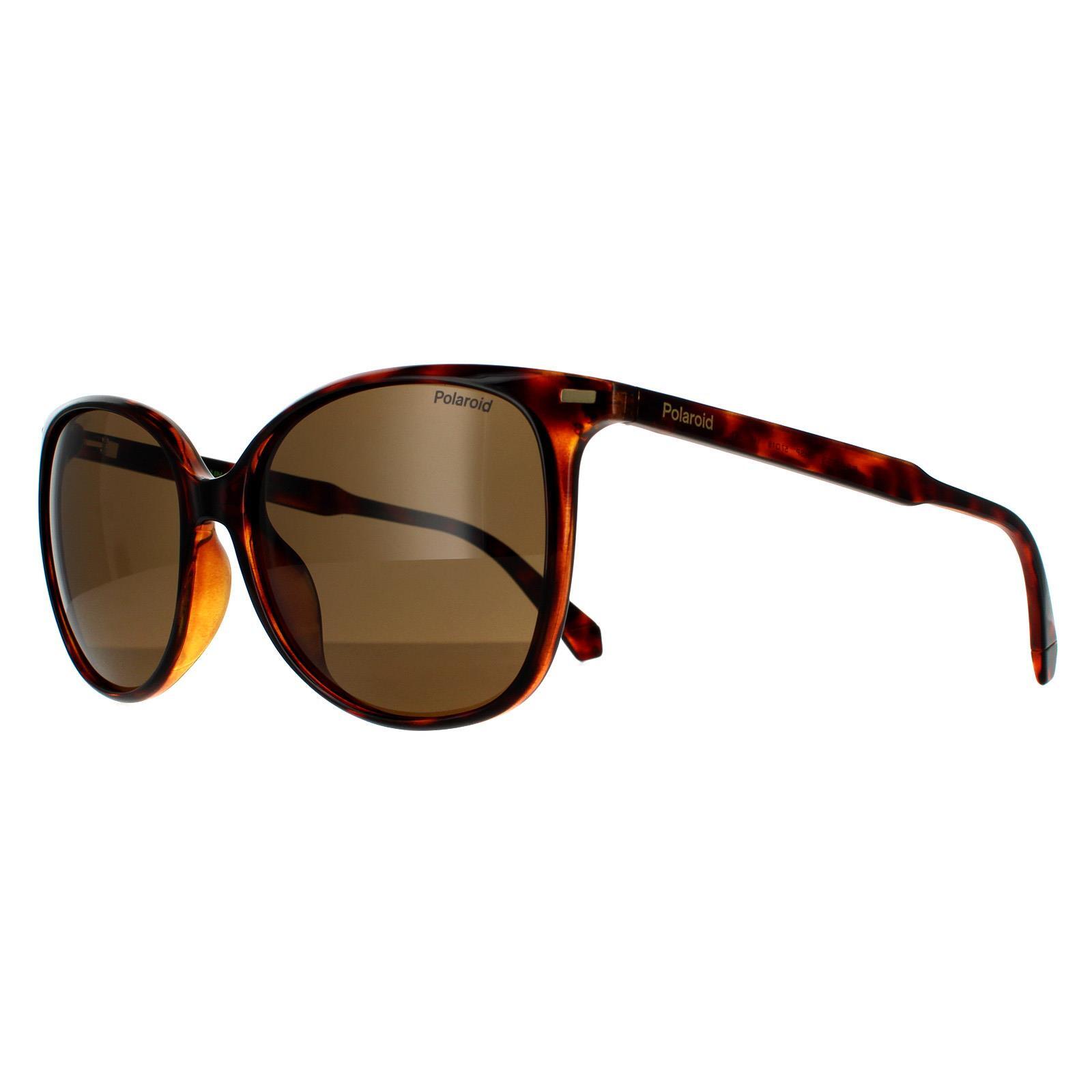 Polaroid Cat Eye Womens Dark Havana Bronze Polarized Sunglasses 2/4