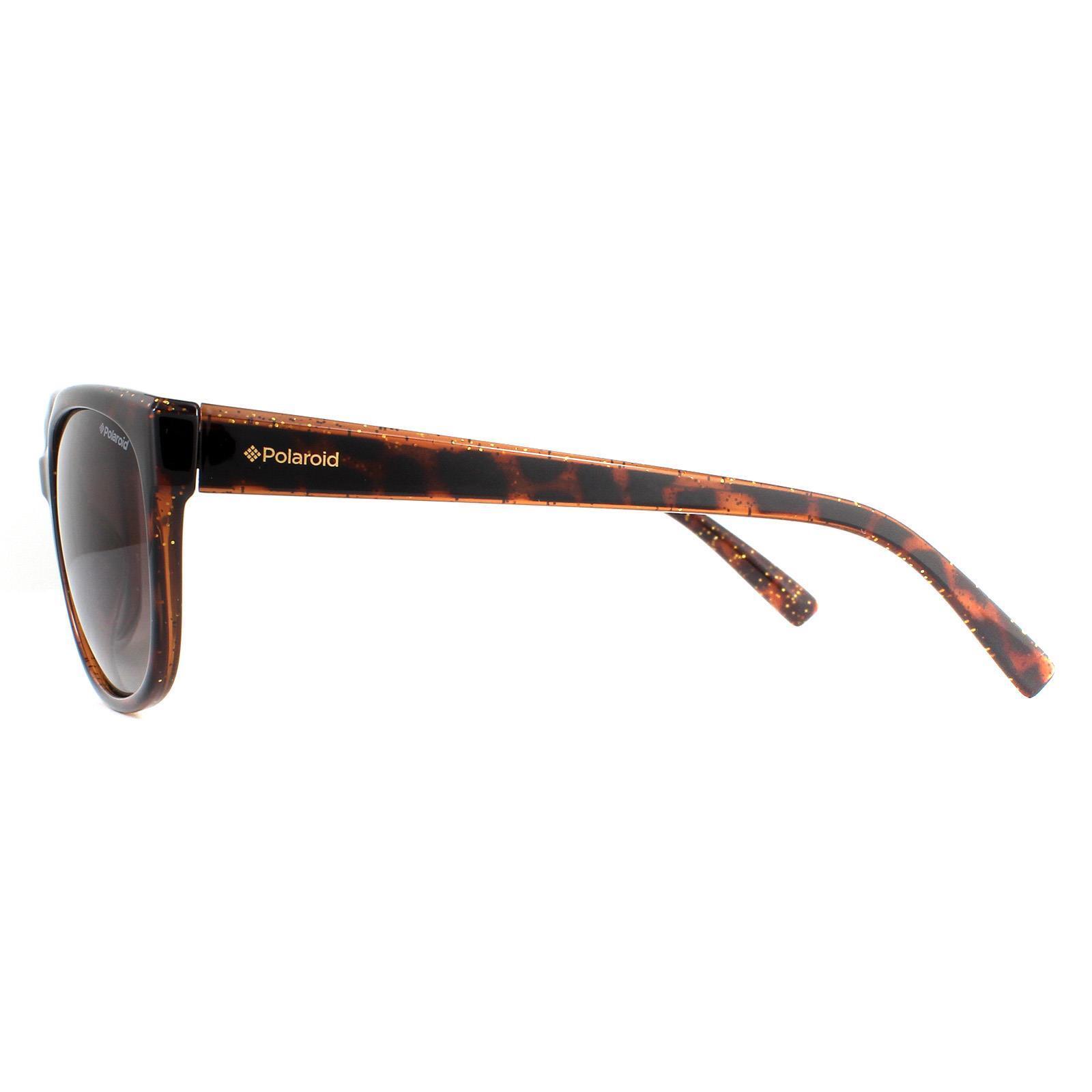 Polaroid Cat Eye Womens Dark Havana Glitter Brown Gradient Polarized Sunglasses 3/4