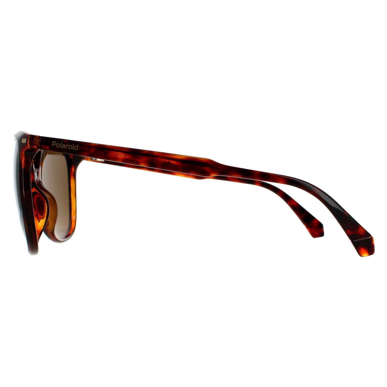 Polaroid Cat Eye Womens Dark Havana Bronze Polarized Sunglasses 3/4