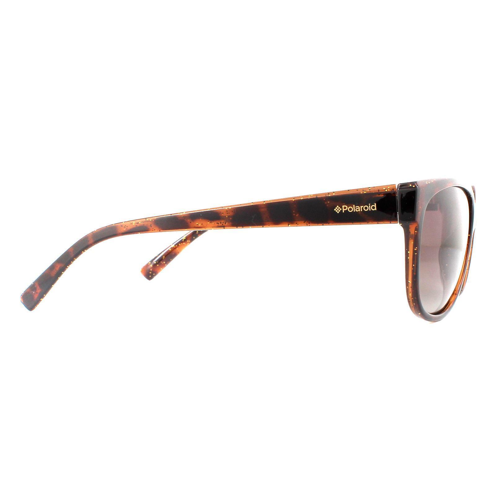 Polaroid Cat Eye Womens Dark Havana Glitter Brown Gradient Polarized Sunglasses 4/4