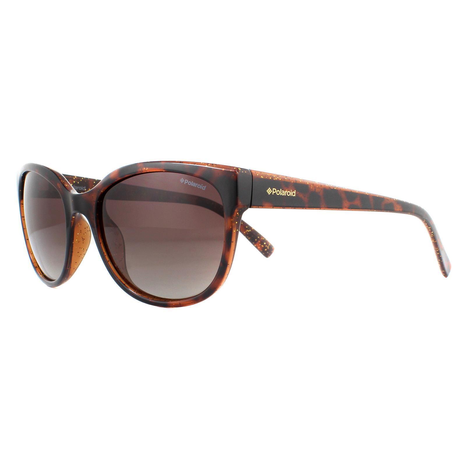 Polaroid Cat Eye Womens Dark Havana Glitter Brown Gradient Polarized Sunglasses 2/4