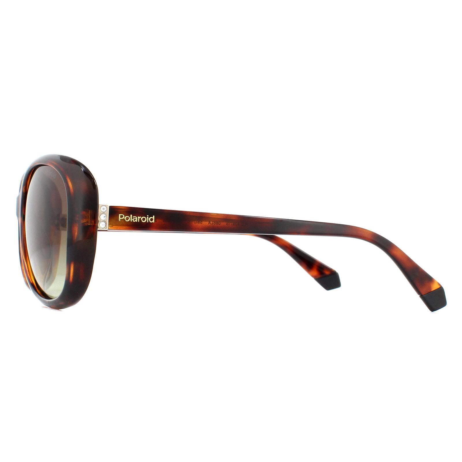 Polaroid Butterfly Womens Havana Brown Gradient Polarized Sunglasses 3/4