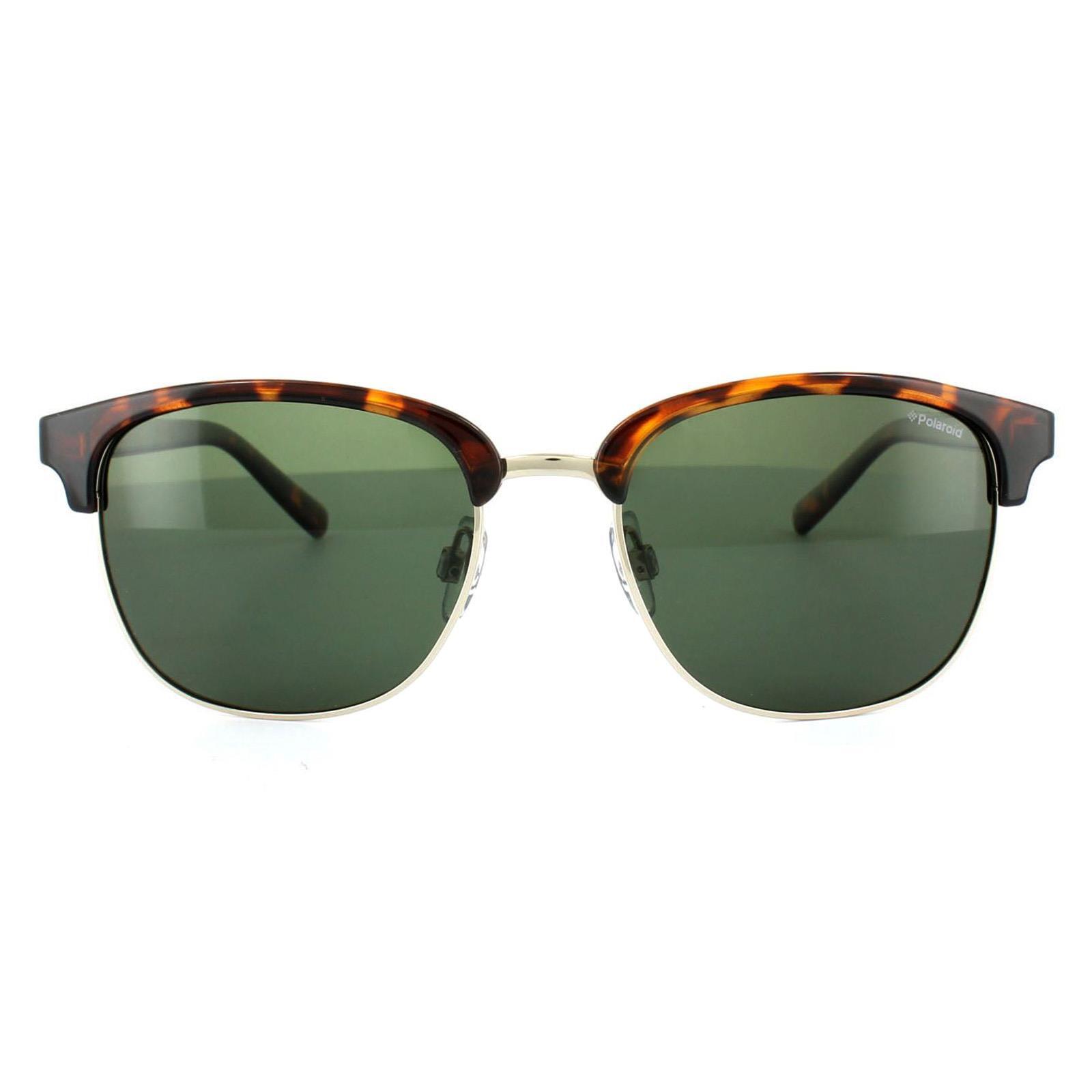 POLAROID Polaroid Round Unisex Havana Green Polarized Sunglasses