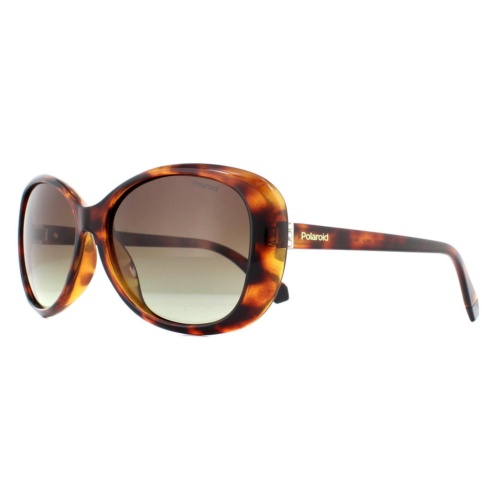 Polaroid Butterfly Womens Havana Brown Gradient Polarized Sunglasses 2/4