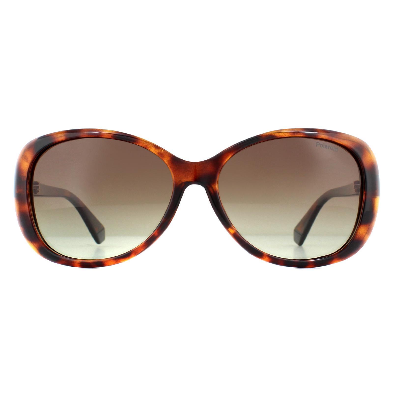 Polaroid Butterfly Womens Havana Brown Gradient Polarized Sunglasses 1/4