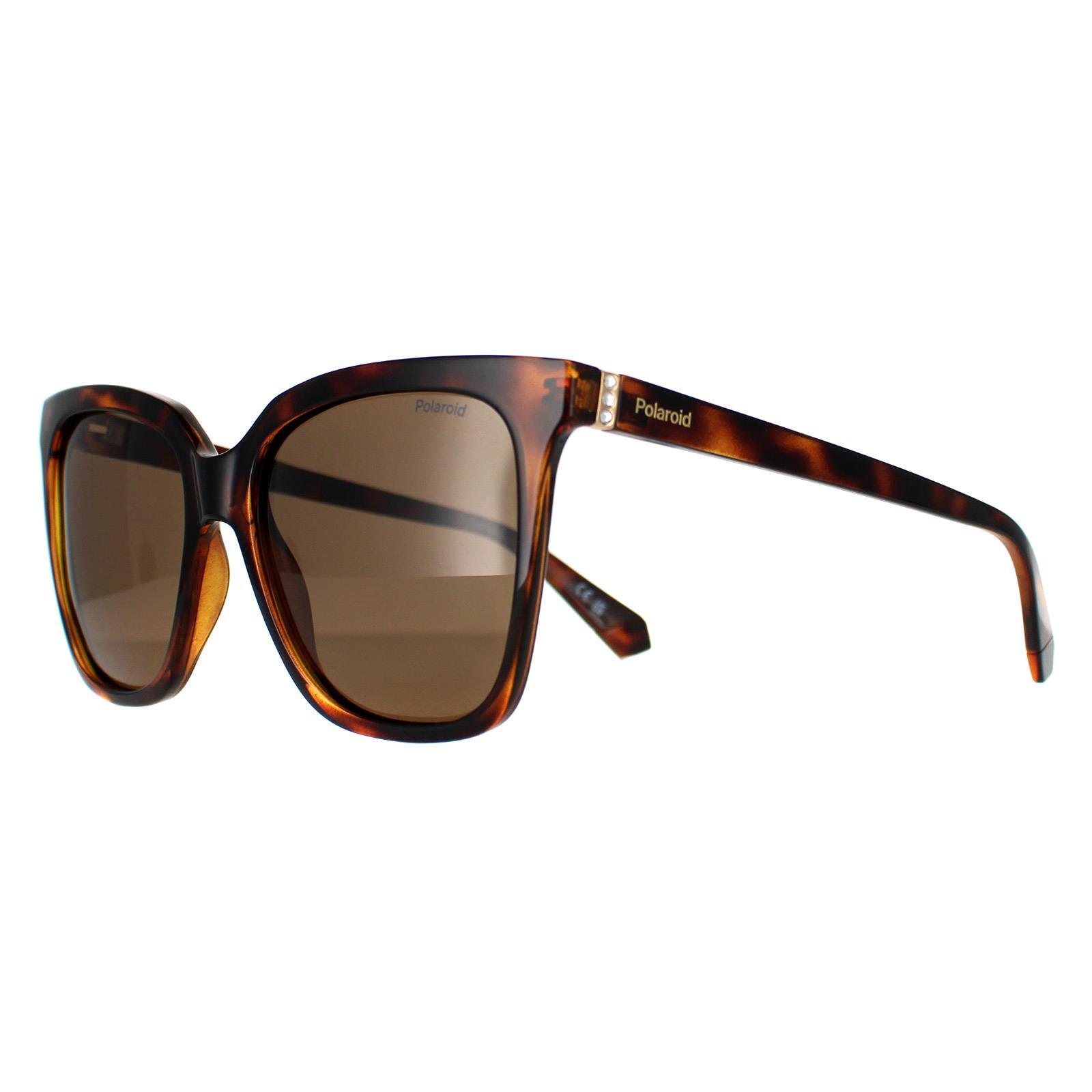 Polaroid Square Womens Havana Bronze Polarized PLD 4155/S/X 2/4