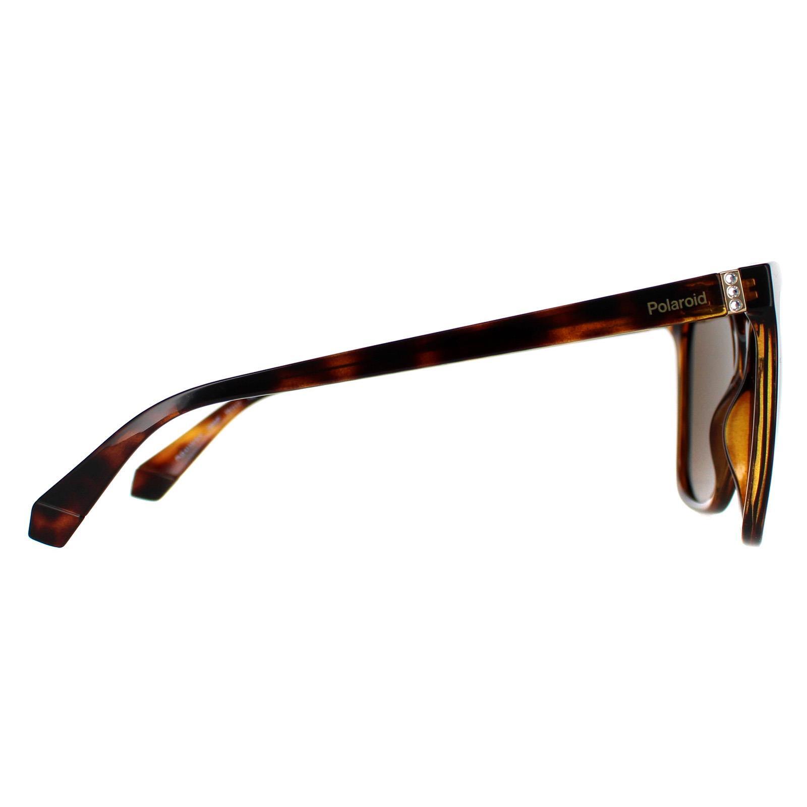 Polaroid Square Womens Havana Bronze Polarized PLD 4155/S/X 4/4