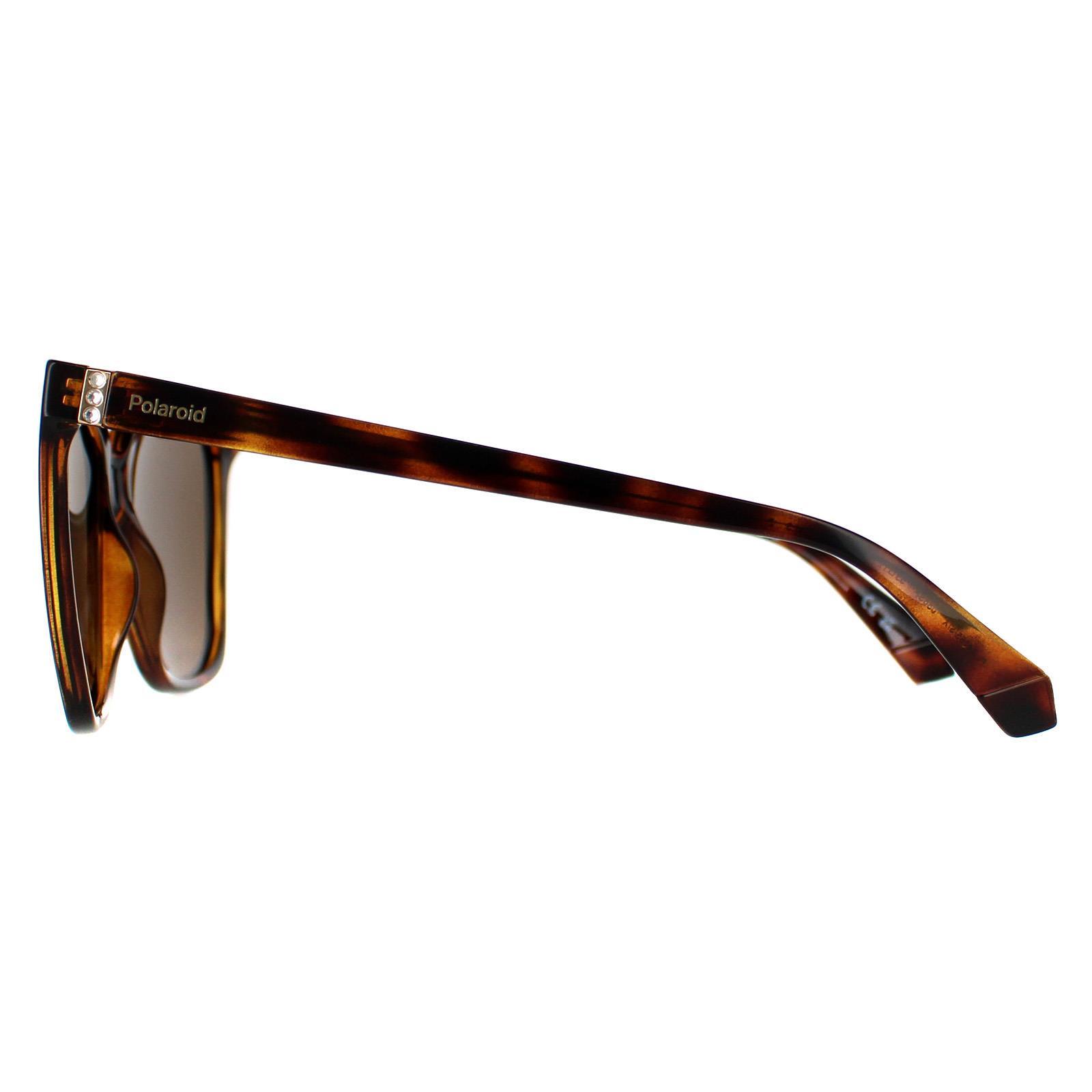 Polaroid Square Womens Havana Bronze Polarized PLD 4155/S/X 3/4
