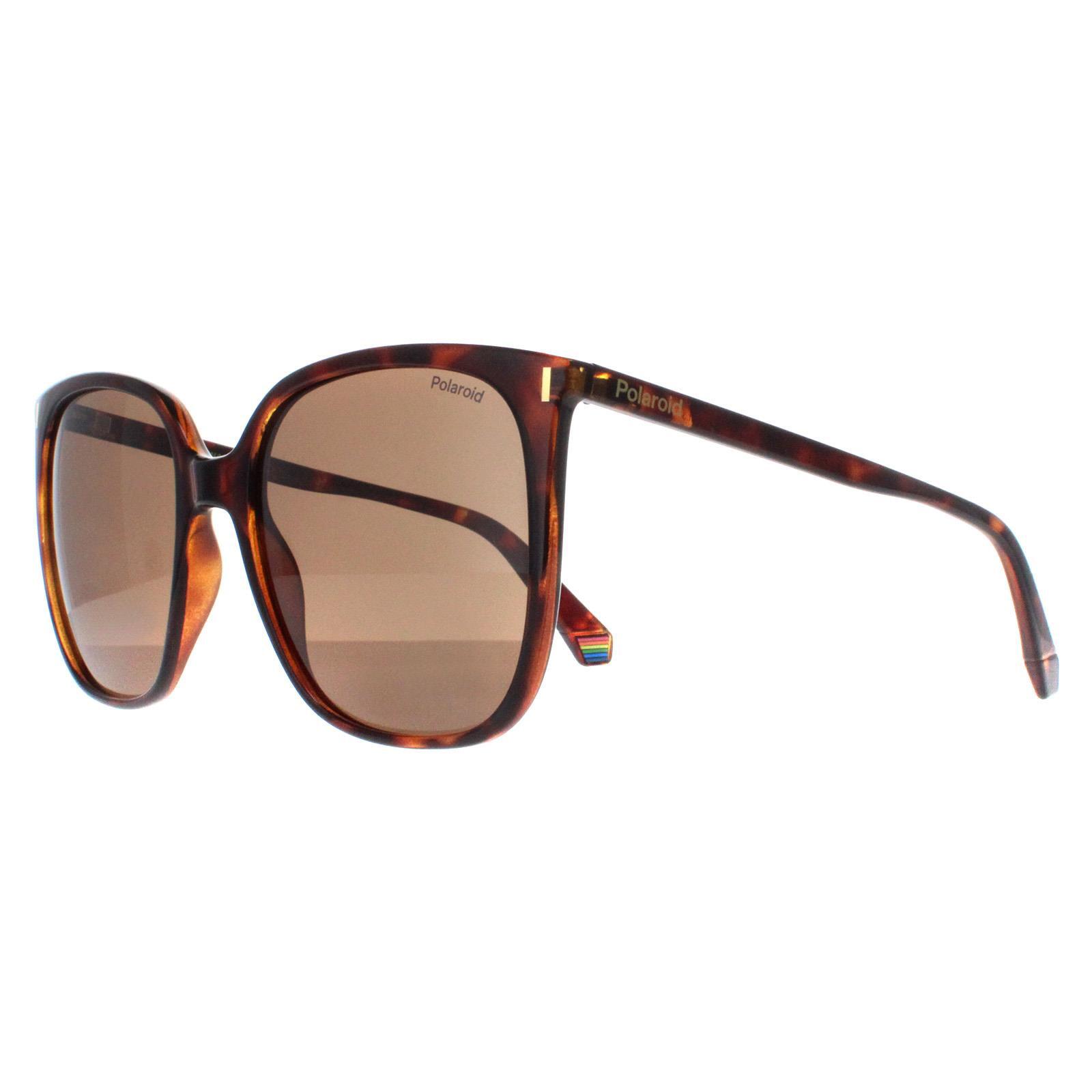 Lunettes de soleil Femme Polaroid PLD 6218_S Acétate 2/4
