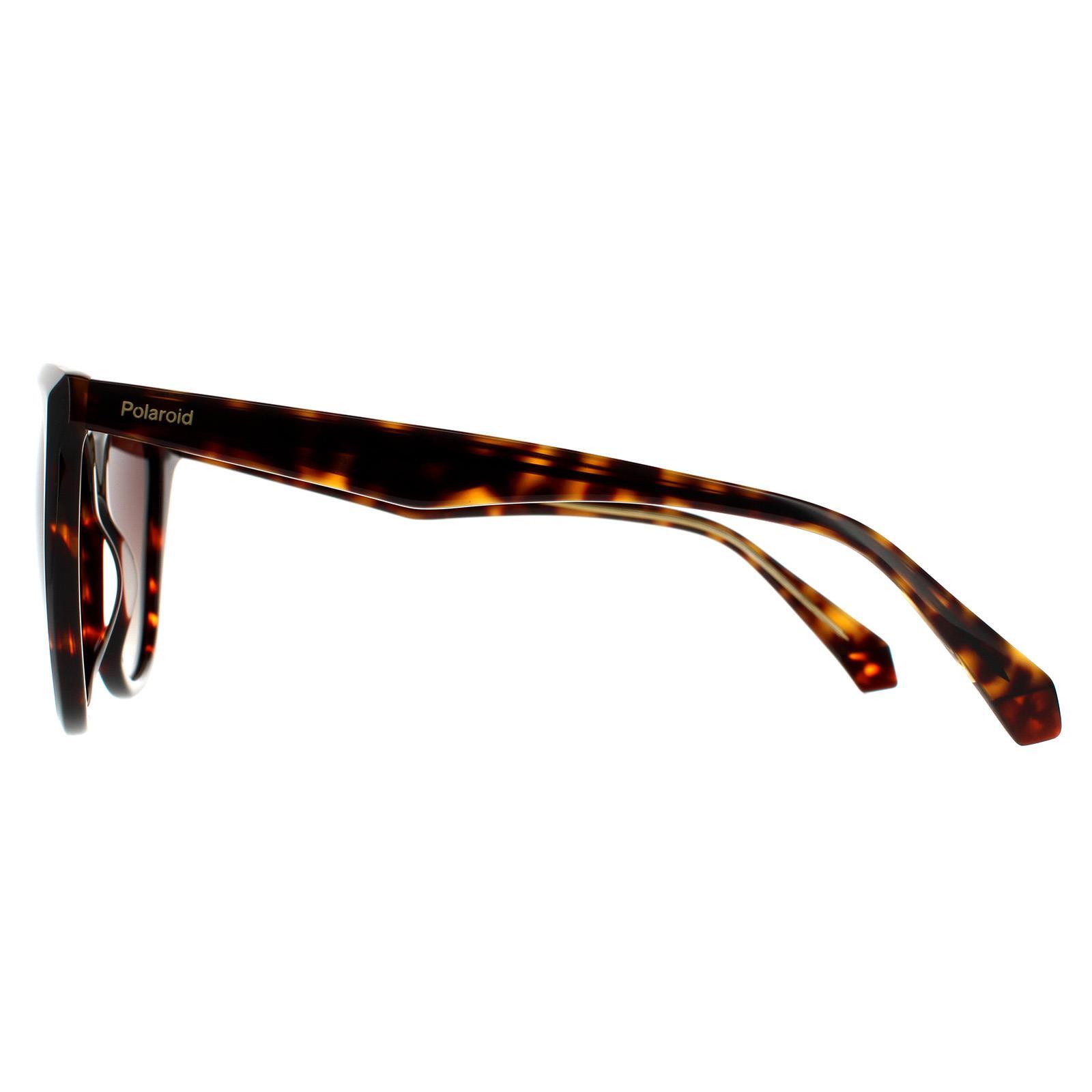 Polaroid Square Womens Havana Brown Brown Gradient Polarized Sunglasses 3/4