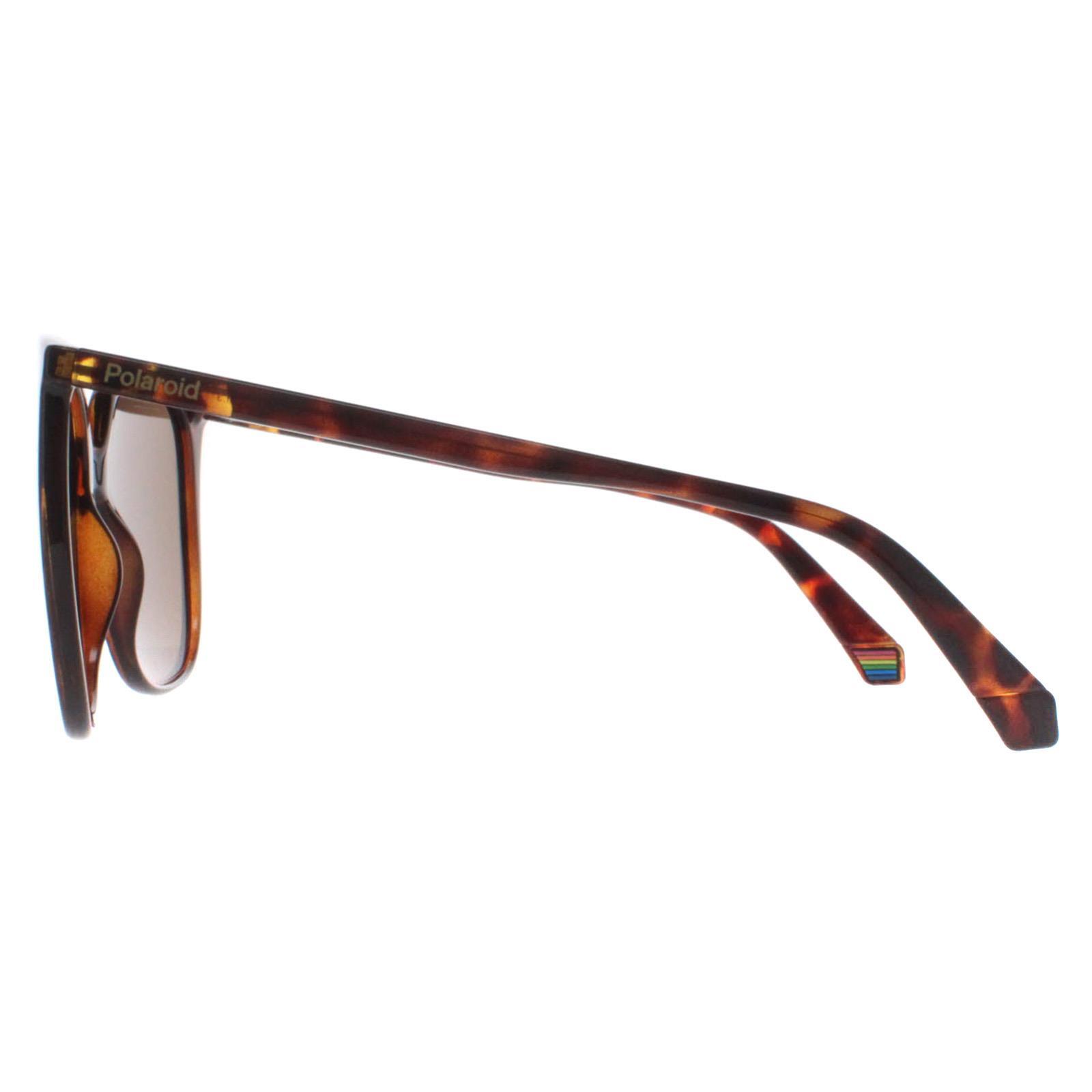 Lunettes de soleil Femme Polaroid PLD 6218_S Acétate 3/4